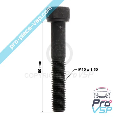 Tornillo de freno frontal