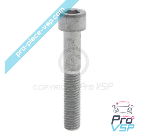 BTR M10x60 screw