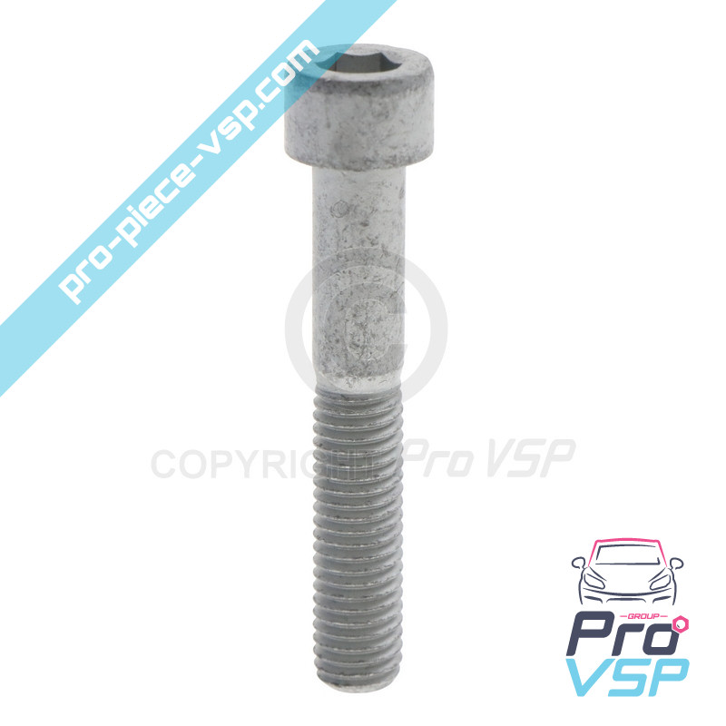 BTR M10x60 screw