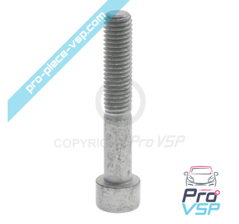 BTR M10x60 screw