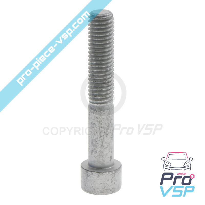 BTR M10x60 screw