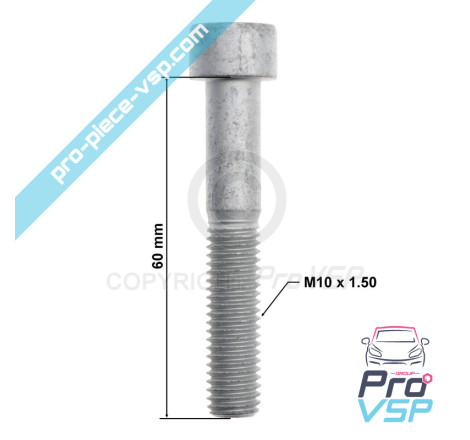 BTR M10x60 screw