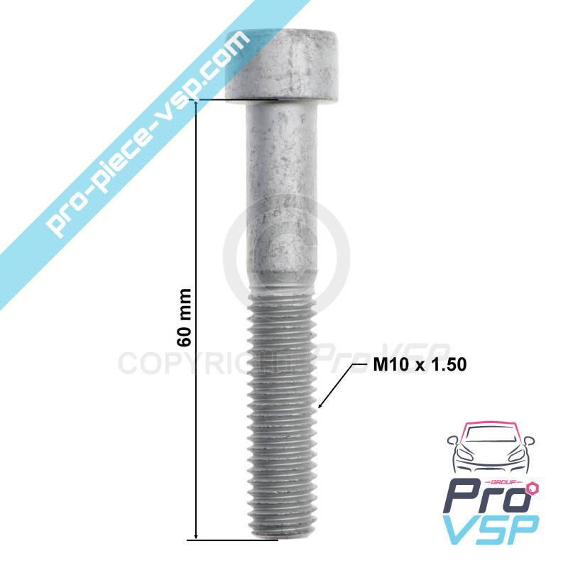 BTR M10x60 screw