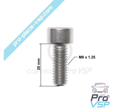 Motor support screw box