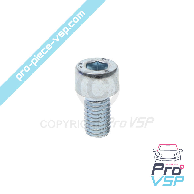 BTR M8x14 screw