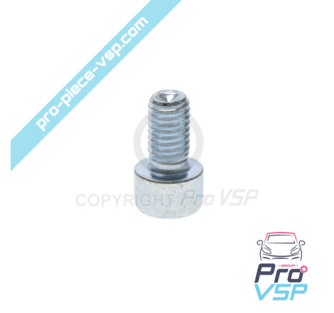 BTR M8x14 screw