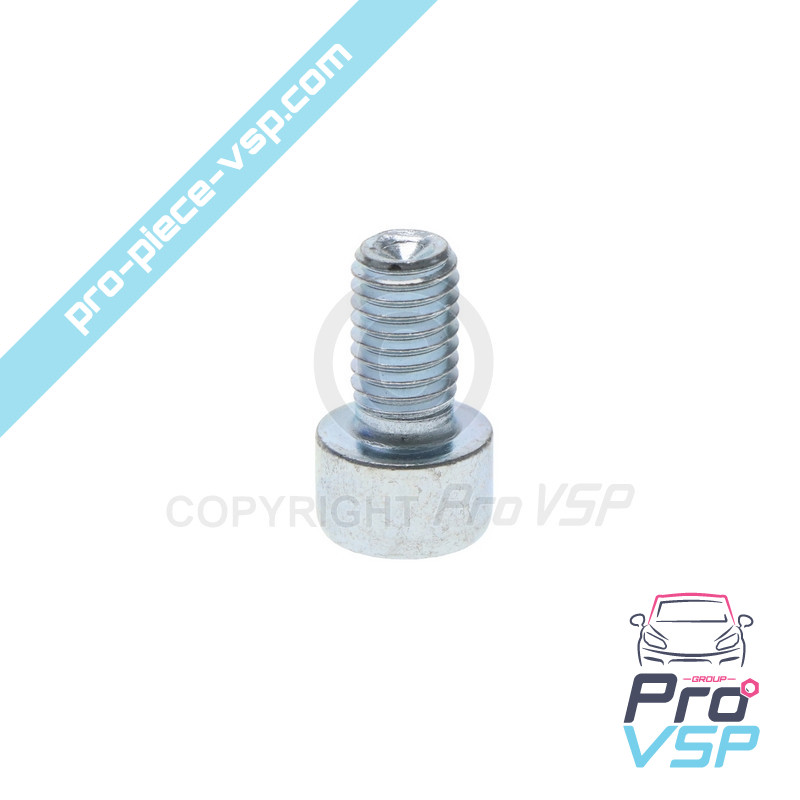BTR M8x14 screw