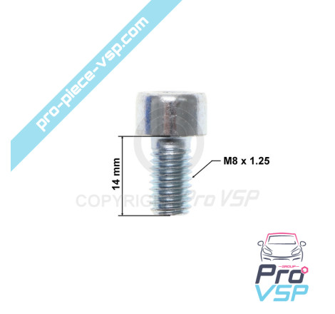 BTR M8x14 screw