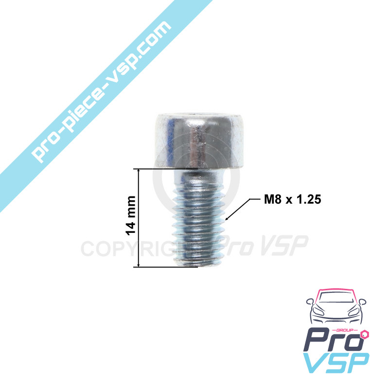 BTR M8x14 screw