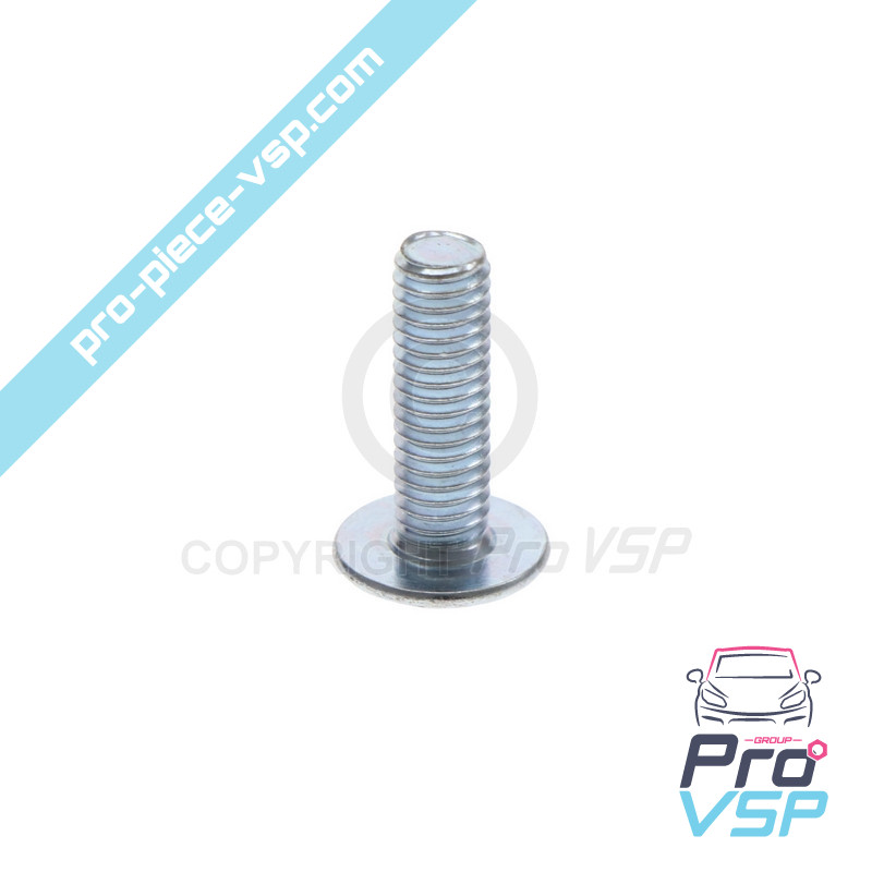 Universal bumper fixing screw
