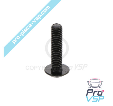 Bumper fixing screw