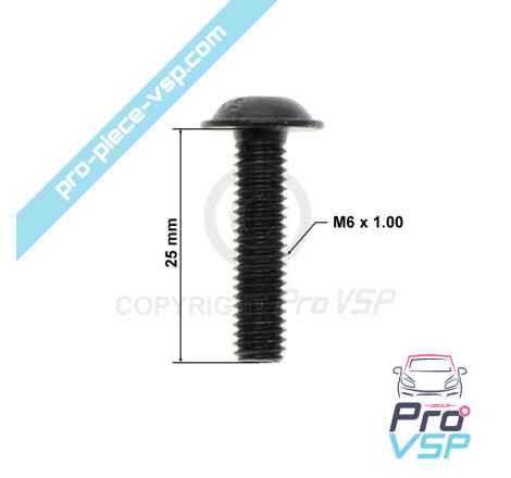 Bumper fixing screw
