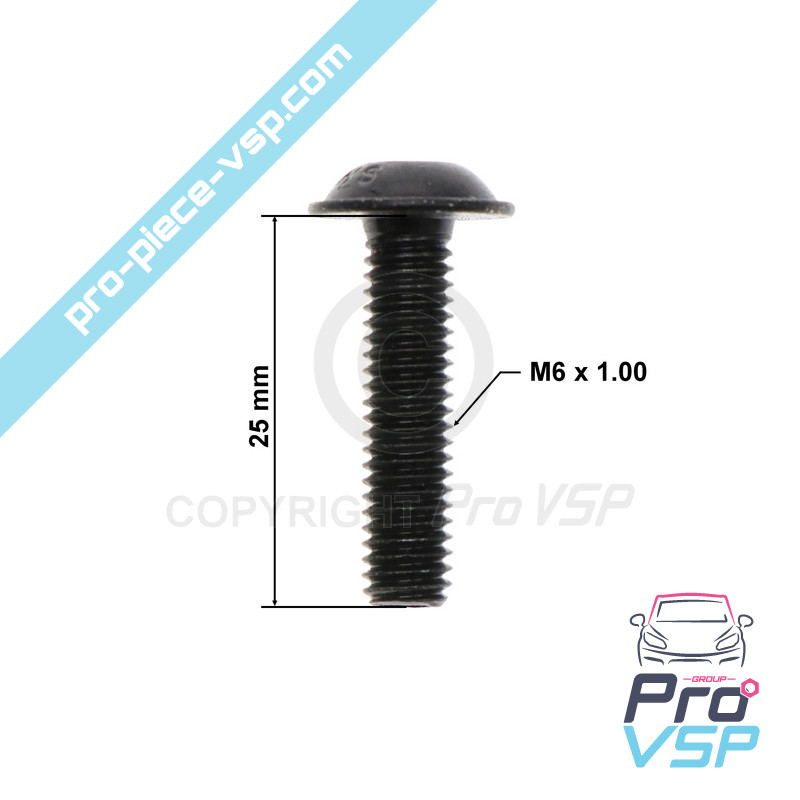 Bumper fixing screw