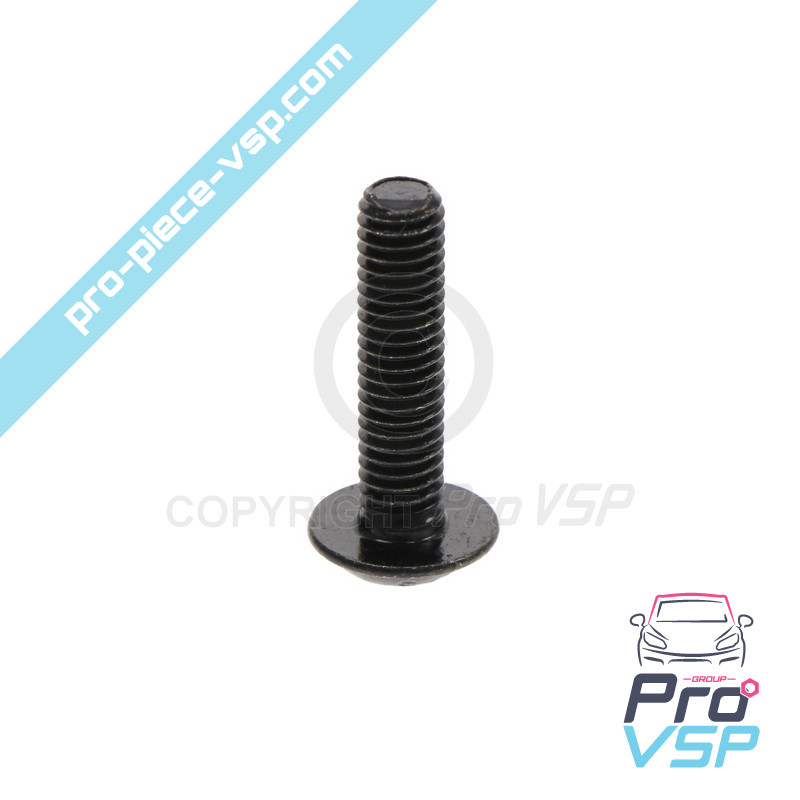 M6x25 curved head screw