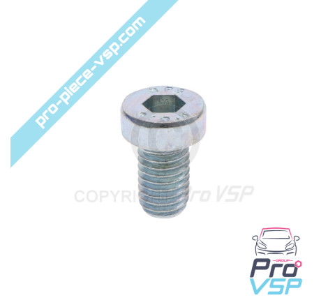 Brake disc fixing screw