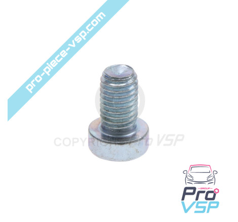 Brake disc fixing screw