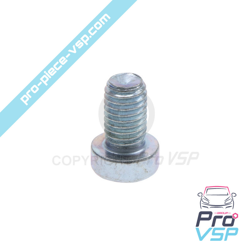 Brake disc fixing screw
