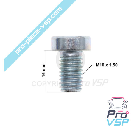 Brake disc fixing screw