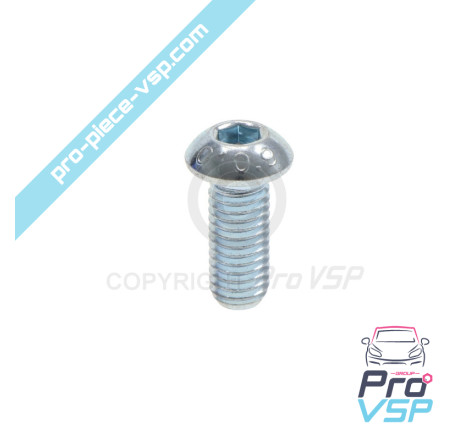 Brake disc fixing screw