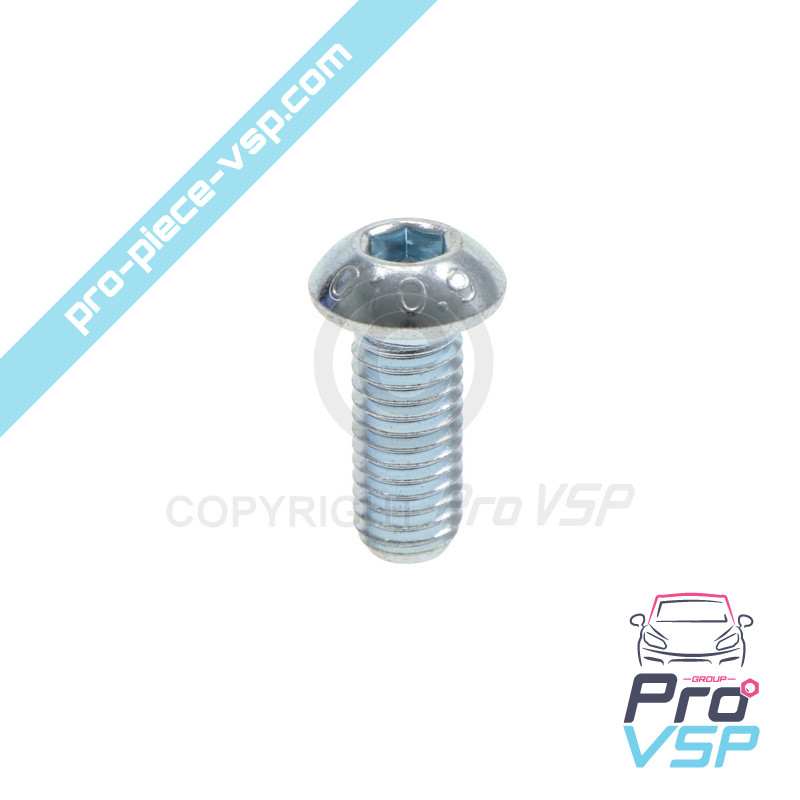 Brake disc fixing screw