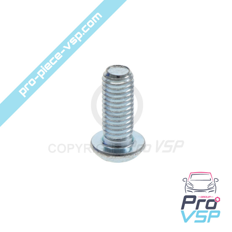 Brake disc fixing screw