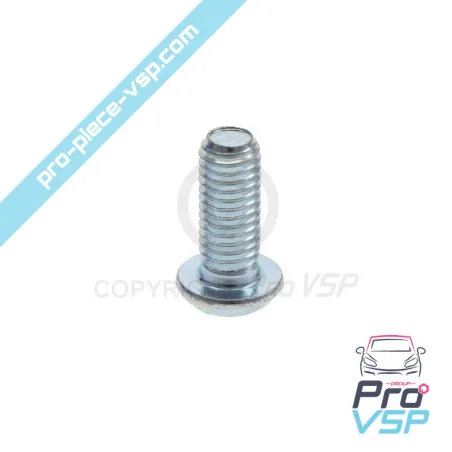 Brake disc fixing screw