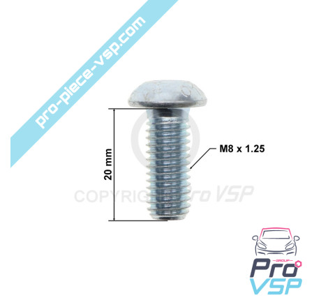 Brake disc fixing screw