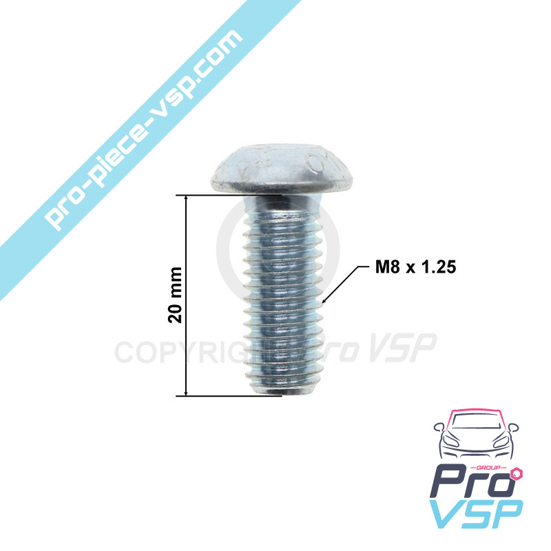 Brake disc fixing screw