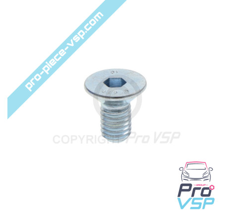 Brake disc fixing screw