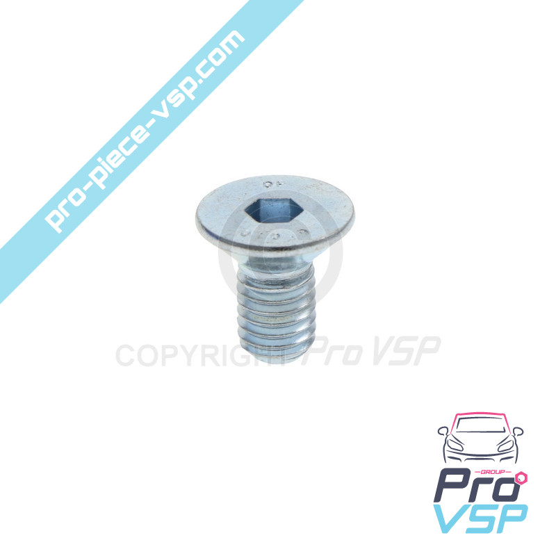 Brake disc fixing screw