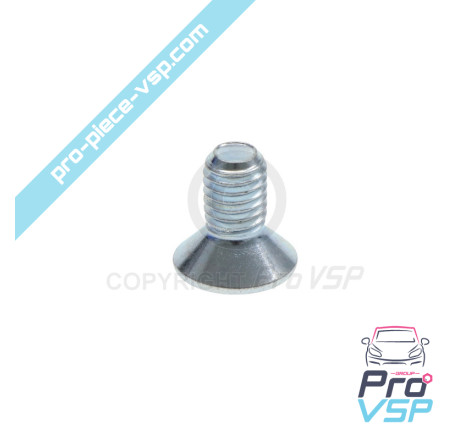 Brake disc fixing screw