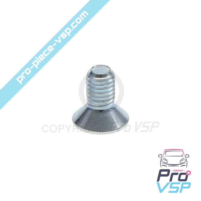 Brake disc fixing screw