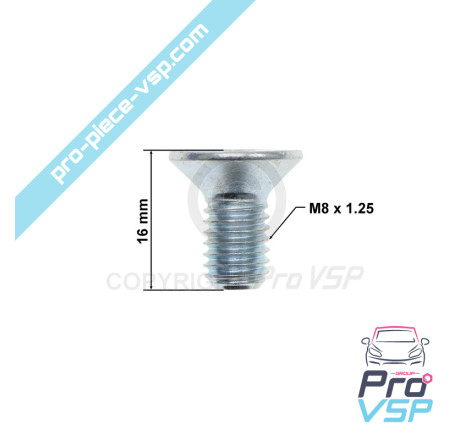 Brake disc fixing screw