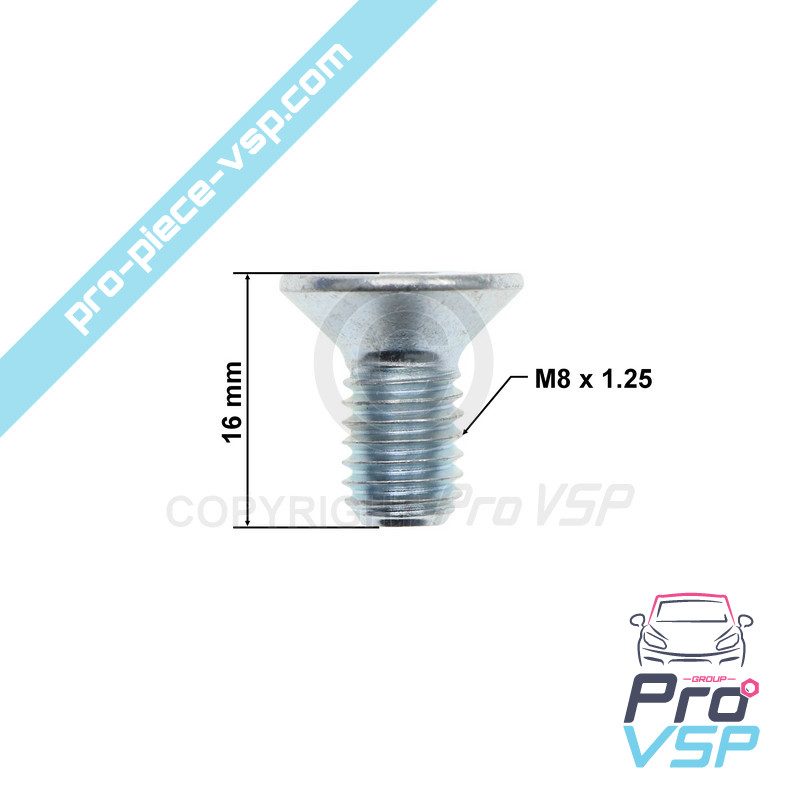 Brake disc fixing screw