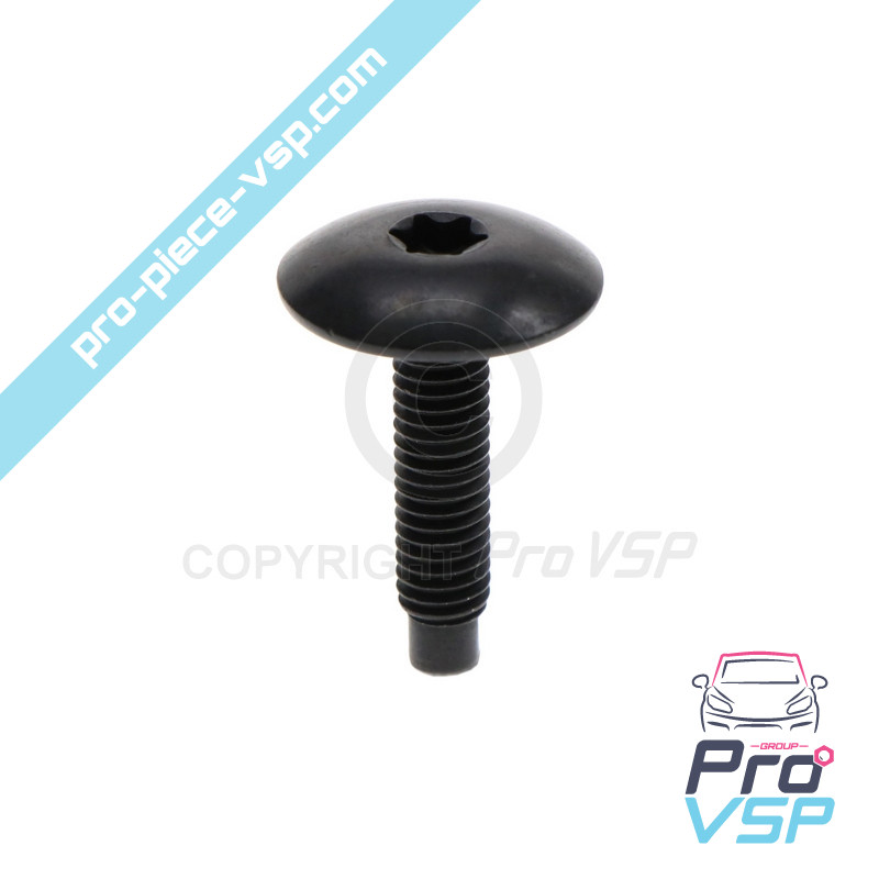 M6x25 screw