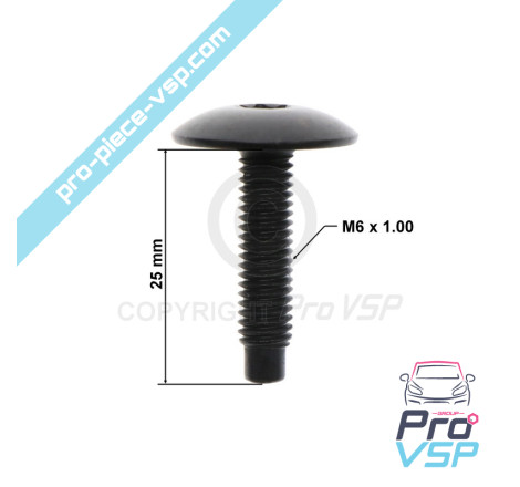 M6x25 screw