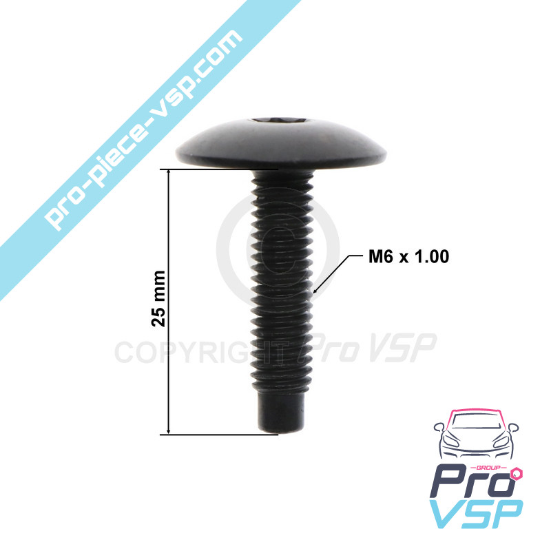 M6x25 screw