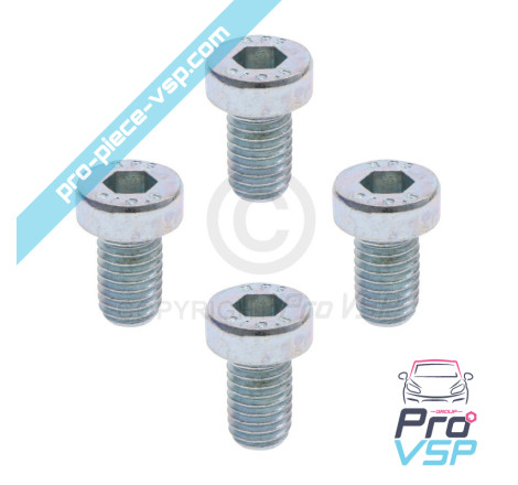 Brake disk fixing screw lot