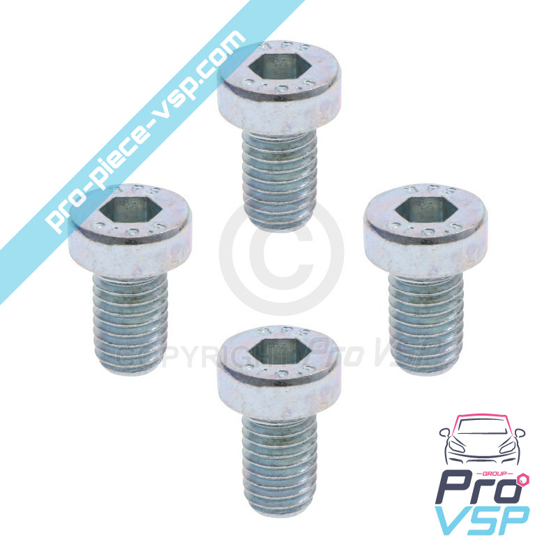 Brake disk fixing screw lot