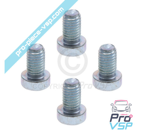 Brake disk fixing screw lot