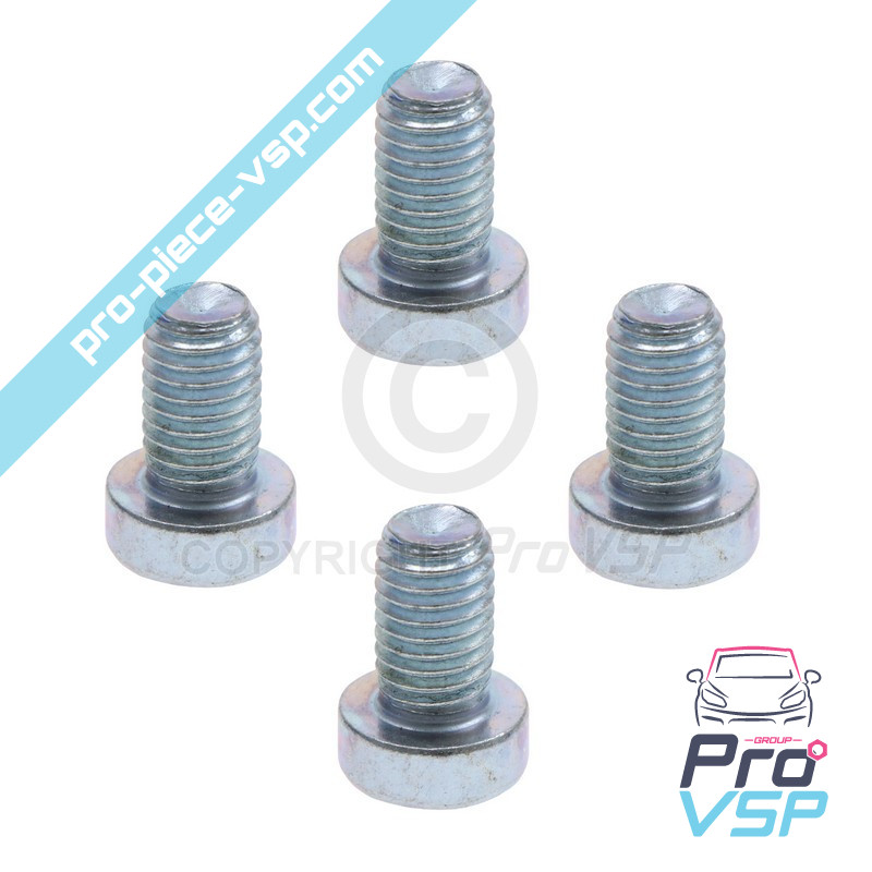 Brake disk fixing screw lot