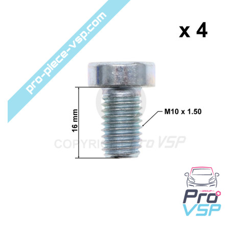 Brake disk fixing screw lot