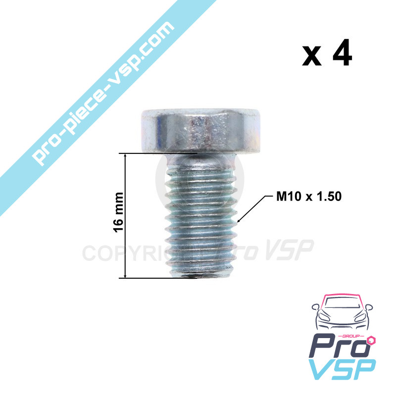 Brake disk fixing screw lot
