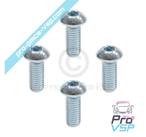 Brake disk fixing screw lot