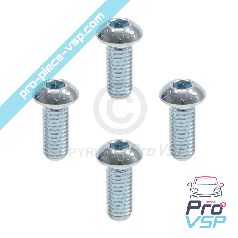 Brake disk fixing screw lot