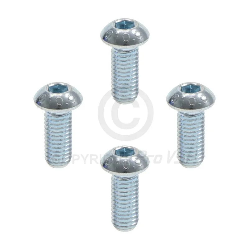 Brake disk fixing screw lot