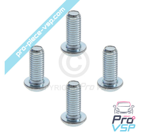 Brake disk fixing screw lot