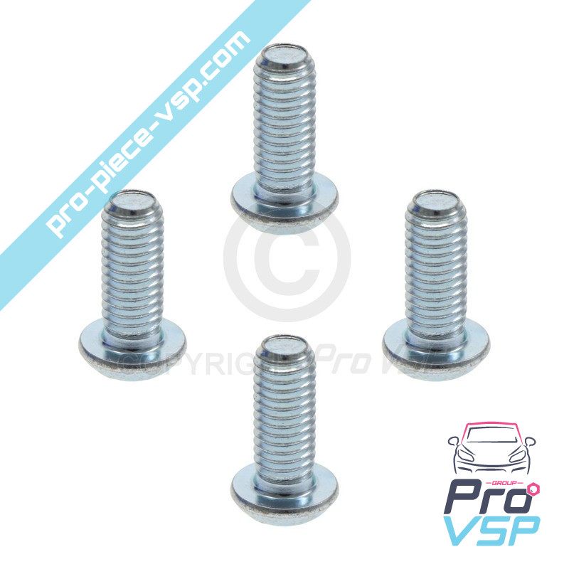Brake disk fixing screw lot