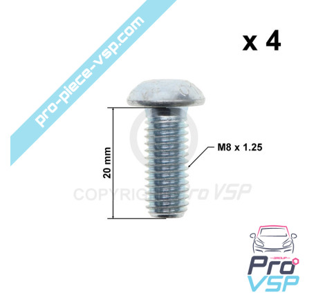 Brake disk fixing screw lot
