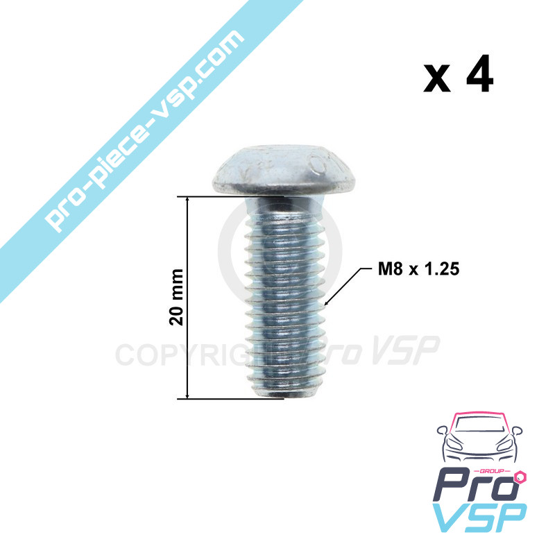 Brake disk fixing screw lot